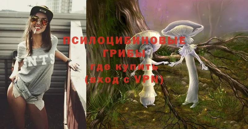 Галлюциногенные грибы Psilocybe Северск